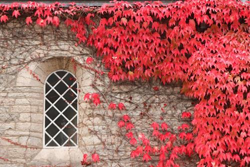 Tử vi thứ 7 ngày 26/10/2024 của 12 con giáp: Dần cần kiên nhẫn, Thân sa sút