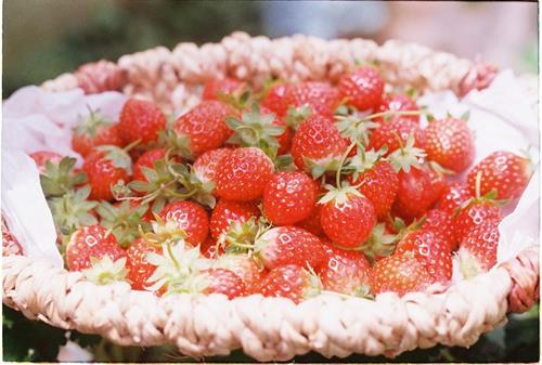 Tử vi Chủ Nhật ngày 3/11/2024 của 12 cung hoàng đạo: Sư Tử nhạy cảm