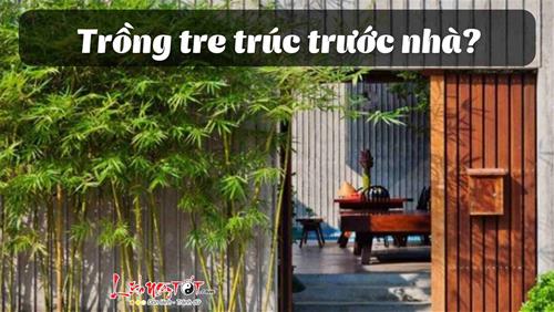 Có nên trồng tre trúc trước nhà không? Vì sao ĐẠI GIA rất chuộng loại cây này?