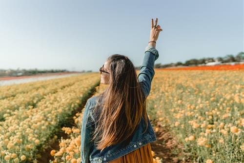 Bài học cuộc sống của 12 con giáp: Chỉ bạn cách bứt phá, hoàn thiện bản thân