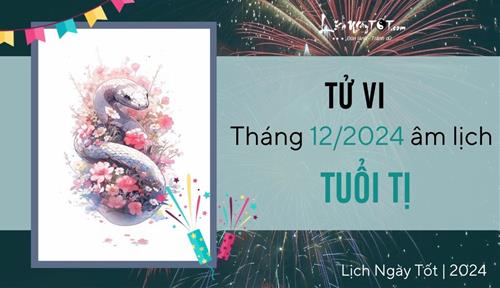 Tử vi tháng 12/2024 tuổi Tị âm lịch: Vận trình rực rỡ, vụt sáng ở nhiều phương diện