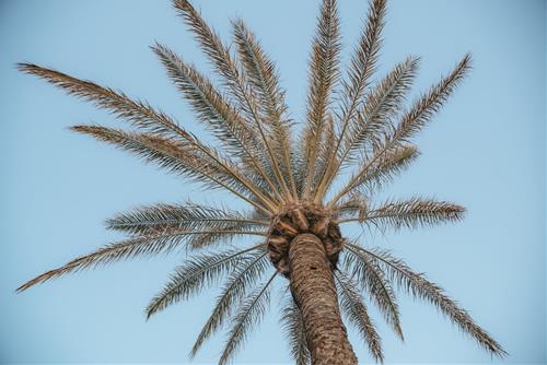 Tử vi Thứ 3 ngày 12/11/2024 của 12 cung hoàng đạo: Xử Nữ vui vẻ, Song Tử chuyên nghiệp