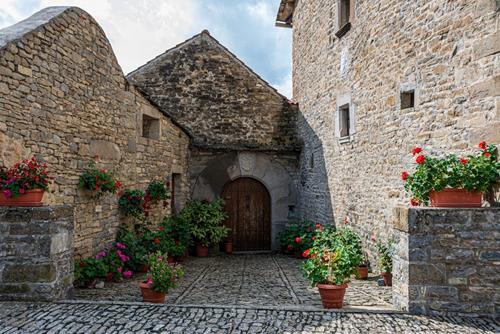 Tử vi thứ 3 ngày 19/11/2024 của 12 con giáp: Thìn bốc đồng, Hợi gặp rắc rối