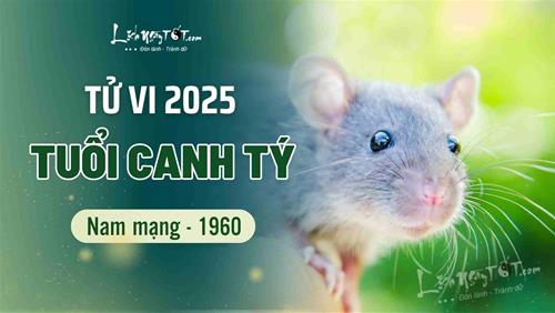 Tử vi năm 2025 tuổi Canh Tý 1960 nam mạng: Dồn mối quan tâm về sức khỏe là trên hết