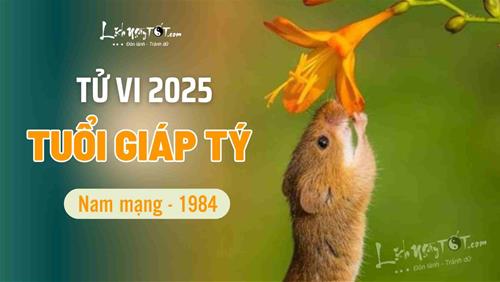Tử vi năm 2025 tuổi Giáp Tý 1984 nam mạng: Tốt xấu đan xen, có được có mất