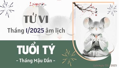 Tử vi tháng 1/2025 tuổi Tý âm lịch: Tháng đầu tiên của năm mới có tài chính rực rỡ nhưng dễ gặp tiểu nhân
