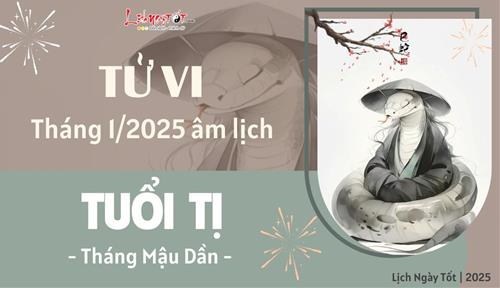 Tử vi tháng 1/2025 tuổi Tị âm lịch: Tài lộc dồi dào nhưng tình cảm có phần xa cách