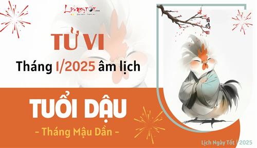 Tử vi tháng 1/2025 tuổi Dậu âm lịch: Lạc lõng vì thiếu tinh thần, không có mục tiêu rõ ràng