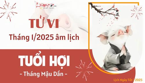 Tử vi tháng 1/2025 tuổi Hợi âm lịch: Buồn vui xen lẫn nhưng hãy vững tin vào tương lai