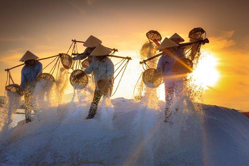 Tử vi tuần mới của 12 con giáp từ 13 - 19/1/2025: Dậu đào hoa, Hợi vất vả