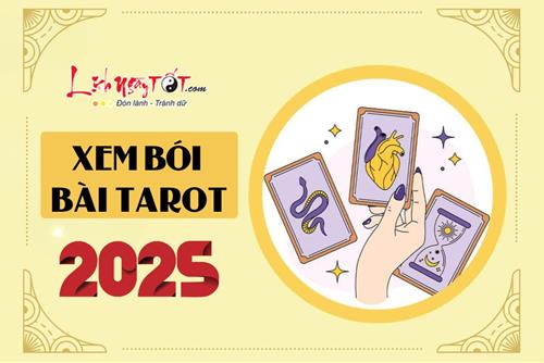 Bói bài tarot năm 2025: Hành trình phía trước của bạn trải đầy HOA HỒNG hay toàn SỎI ĐÁ?