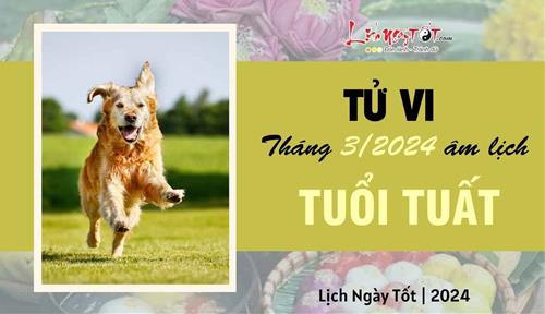 Tử vi tháng 3/2024 tuổi Tuất âm lịch: Kiếm được tiền nhưng tiêu cũng không ít