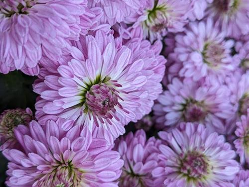 Tử vi thứ 7 ngày 2/3/2024 của 12 cung hoàng đạo: Cự Giải am hiểu, Bảo Bình bồng bột