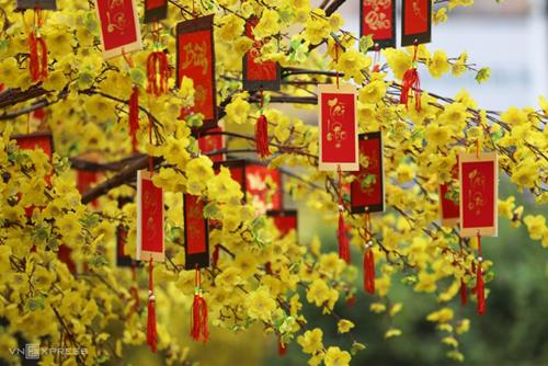 Tử vi Thứ 3 ngày 13/2/2024 của 12 cung hoàng đạo: Nhân Mã tự lập, Xử Nữ lạc quan
