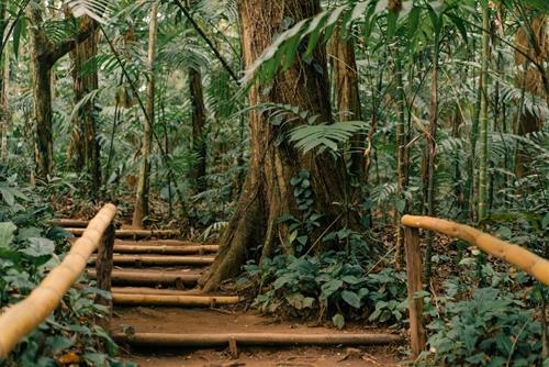 Tử vi tuần mới của 12 con giáp từ 25 - 31/3/2024: Sửu nên lượng sức, Thân tự tin