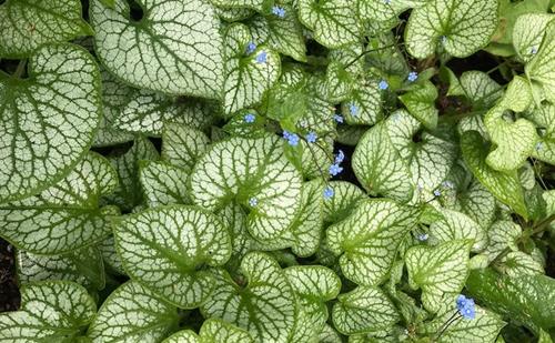 Tử vi thứ 5 ngày 14/3/2024 của 12 con giáp: Tý dễ bị hại, Mão sáng suốt