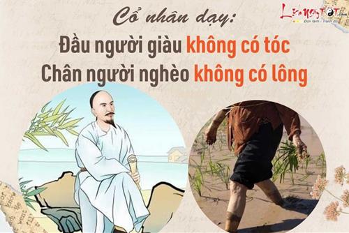 Vì sao cổ nhân nói: “Đầu người giàu không có tóc, chân người nghèo không có lông”?