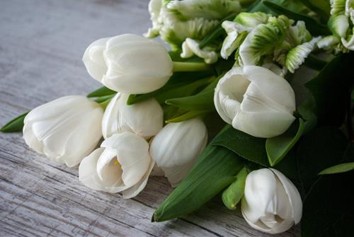 Tử vi Thứ 3 ngày 12/3/2024 của 12 cung hoàng đạo: Xử Nữ vui vẻ, Song Ngư cá tính