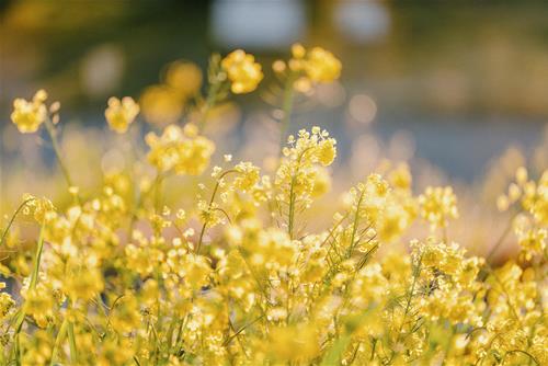 Tử vi thứ 4 ngày 13/3/2024 của 12 cung hoàng đạo: Nhân Mã lo lắng, Bạch Dương không ổn