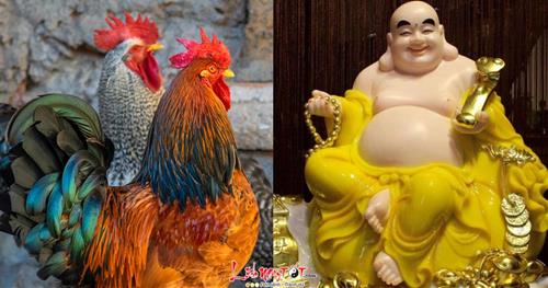 Nhờ ơn trên ban LỘC - 4 tuổi này sẽ trả SẠCH NỢ trong 6 tháng cuối 2024, thừa sức cày cuốc kiếm tiền!