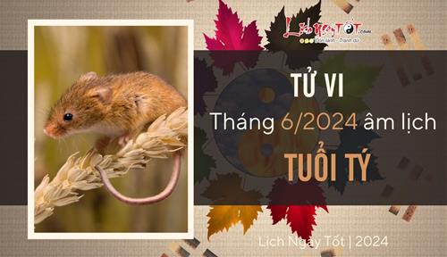 Tử vi tháng 6/2024 tuổi Tý âm lịch: Nhiều mối trăn trở, kết quả xứng đáng với nỗ lực