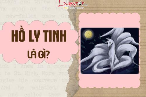 Hồ ly tinh là gì? Chúng có thực hay không và liệu có đáng sợ như lời đồn?