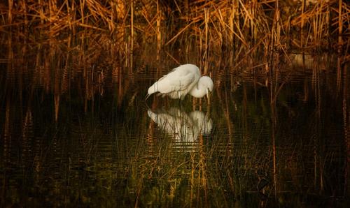 Tử vi thứ 7 ngày 25/5/2024 của 12 cung hoàng đạo: Ma Kết sai lầm, Song Ngư linh hoạt