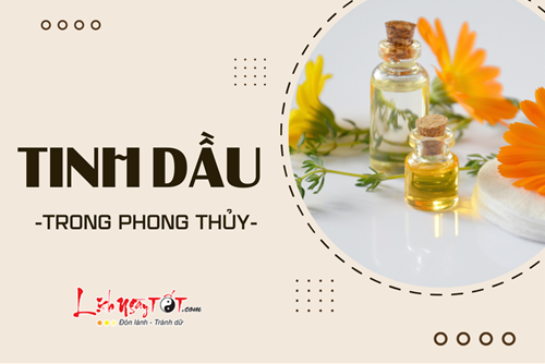Tinh dầu trong phong thủy: Khơi thông năng lượng, thu hút may mắn và tài lộc cho gia đình