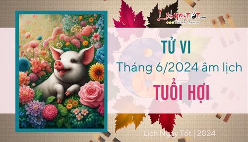 Tử vi tháng 6/2024 tuổi Hợi âm lịch: Nhân duyên tốt lành, tinh thần phấn khởi