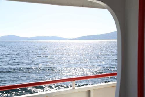 Tử vi thứ 6 ngày 7/6/2024 của 12 con giáp: Mão trì hoãn, Mùi tiến triển