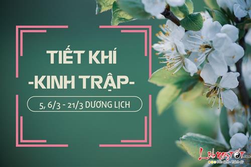 Tiết Kinh Trập là gì - Tiết khí này rơi vào thời điểm nào tương ứng trong năm?