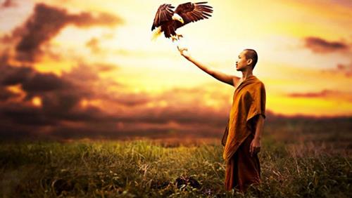 Lý do phát tâm bồ đề: Hiểu gốc rễ vấn đề ta mới dễ dàng ban phát lòng tốt của mình