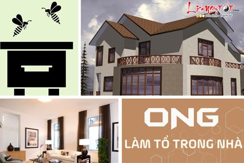 Ong làm tổ trong nhà là điềm gì? Điều gì sắp xảy đến với ngôi nhà của bạn?