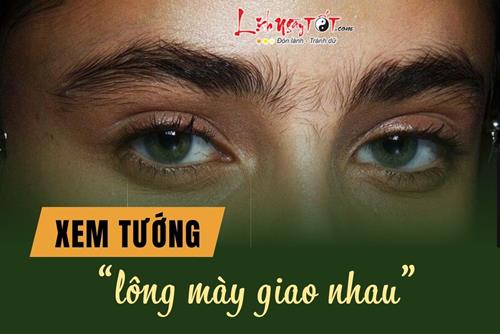 Giải mã bí ẩn tướng lông mày giao nhau: Tốt hay xấu, báo hiệu điều gì về cuộc đời?