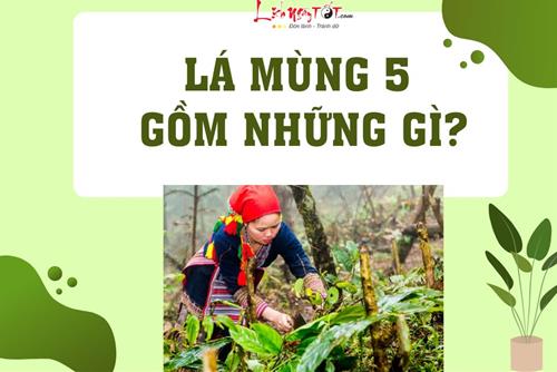 Lá mùng 5 gồm những gì? Chúng có tác dụng gì mà nhà nhà tìm mua đúng dịp Tết Đoan Ngọ?