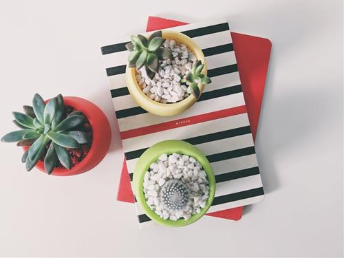 Tử vi tuần mới của 12 con giáp từ 22 - 28/7/2024: Tuất cứng đầu, Mùi bao đồng