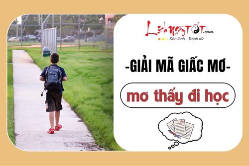 Giải mã GIẤC MƠ THẤY ĐI HỌC: Điềm báo cho điều gì? Con số nào dễ rước LỘC?