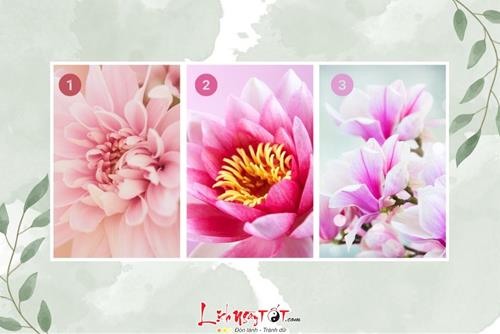 Trắc nghiệm liệu bạn có thường xuyên mua sắm bốc đồng hay tính toán kỹ càng?