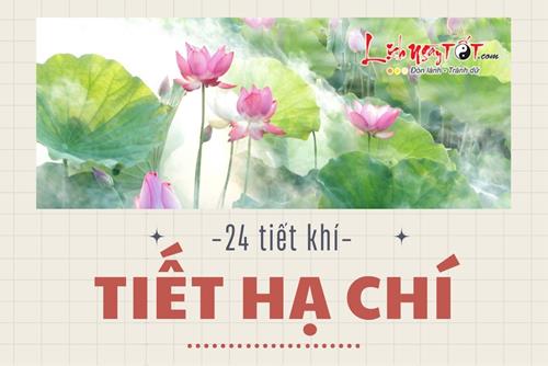 Tiết Hạ Chí là gì? Ngày nào là ngày Hạ Chí trong năm? Cần đặc biệt chú ý điều gì?