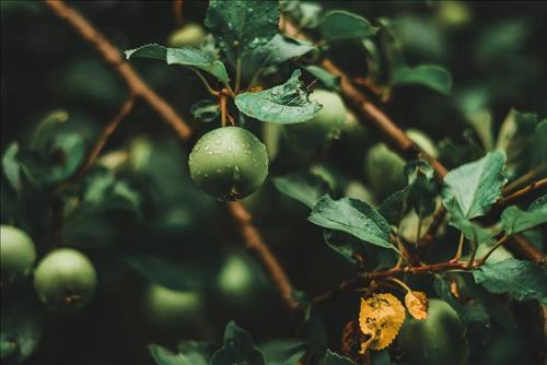 Tử vi thứ 6 ngày 23/8/2024 của 12 con giáp: Tý gặp may, Mùi nên từ tốn