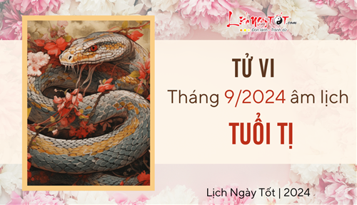 Tử vi tháng 9/2024 tuổi Tị âm lịch: Chưa có nhiều đột phá, chớ nên lãng phí thời gian