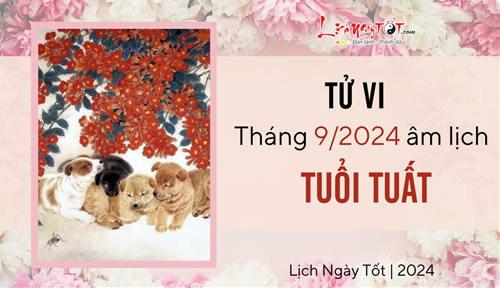 Tử vi tháng 9/2024 tuổi Tuất âm lịch: Vận khí khó lường, có cả hung lẫn cát