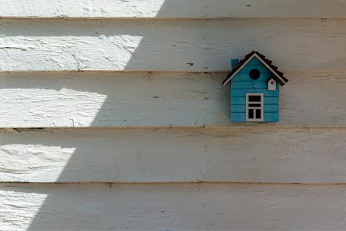 Tử vi thứ 6 ngày 9/8/2024 của 12 cung hoàng đạo: Hổ Cáp cả tin, Kim Ngưu tức giận