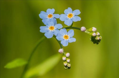 Tử vi thứ 2 ngày 19/8/2024 của 12 con giáp: Sửu có lộc, Hợi hạnh phúc