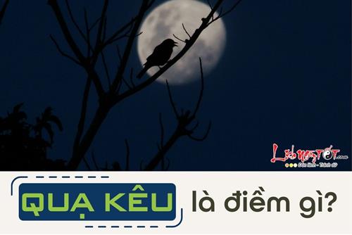 QUẠ KÊU là điềm gì? Có phải khi nào tiếng quạ kêu cũng đáng sợ?