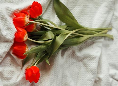 Tử vi thứ 4 ngày 2/10/2024 của 12 cung hoàng đạo: Xử Nữ may mắn, Nhân Mã biết ơn