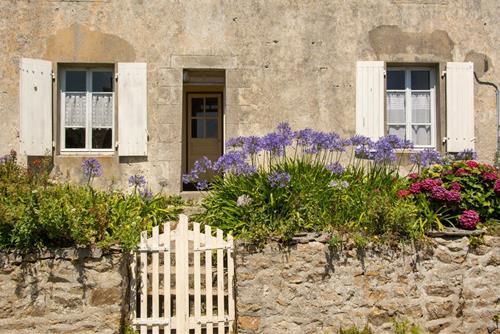 Tử vi thứ 2 ngày 10/2/2025 của 12 con giáp: Tý thất vọng, Sửu được khen