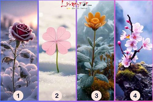 Trắc nghiệm tâm lý: Nửa cuối tháng 1/2025 dương lịch, ví tiền của bạn ĐẦY hay VƠI?