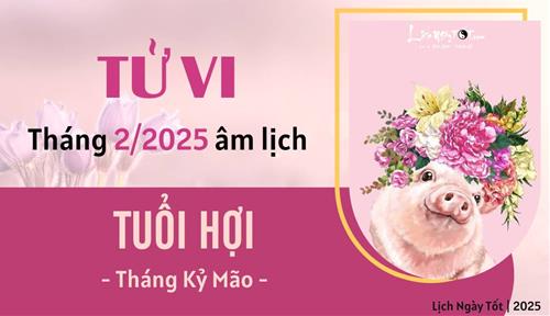 Tử vi tháng 2/2025 tuổi Hợi âm lịch: Hãy thương lấy chính mình