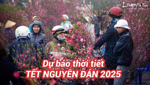 Dự báo thời tiết Tết Nguyên đán 2025: Không khí lạnh tăng cường gây rét đậm và mưa phùn